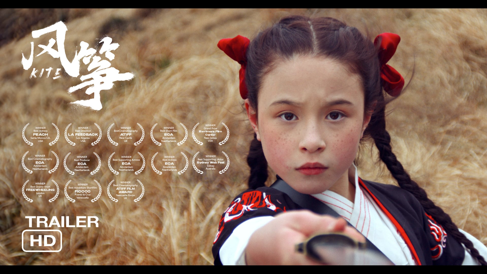 Kite still